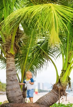 Baby near palmtree on the beach
