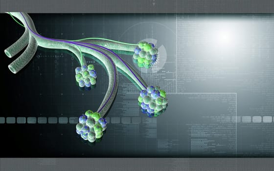 Digital illustration of alveoli in colour background