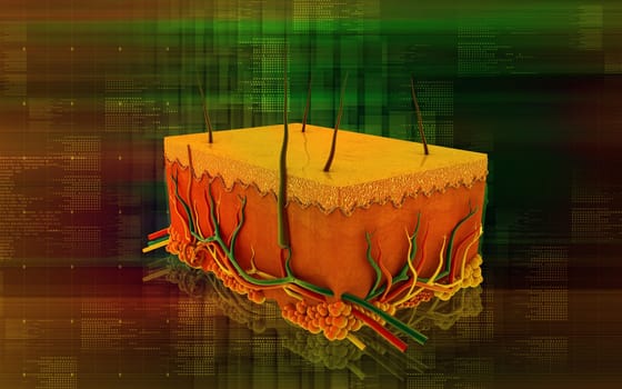 Digital illustration of Skin in colour background