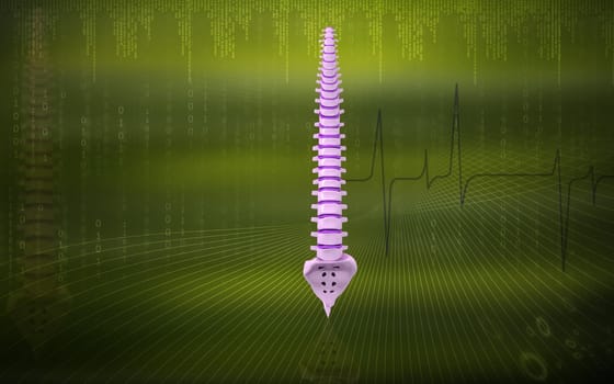 Digital illustration of back bone in colour background