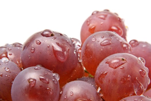 Ripeness red grapes