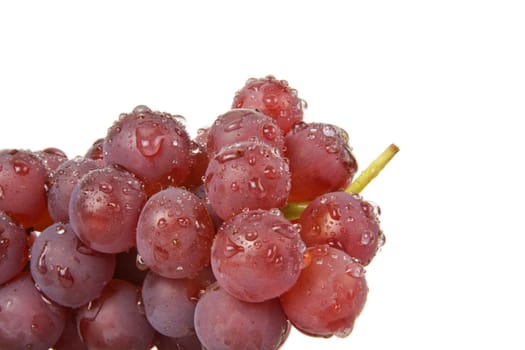Ripeness red grapes