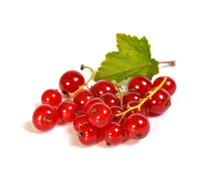 red currants