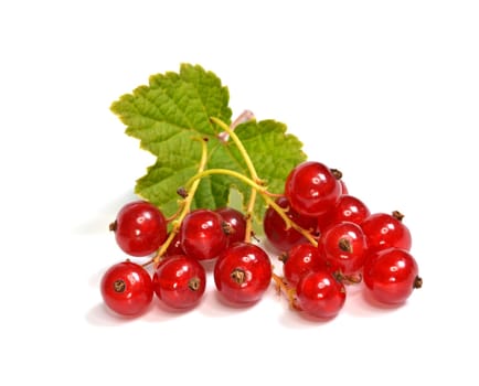 red currants
