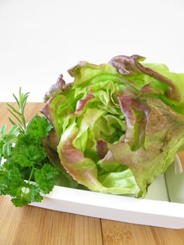 Lettuce and herbs