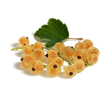 white currants