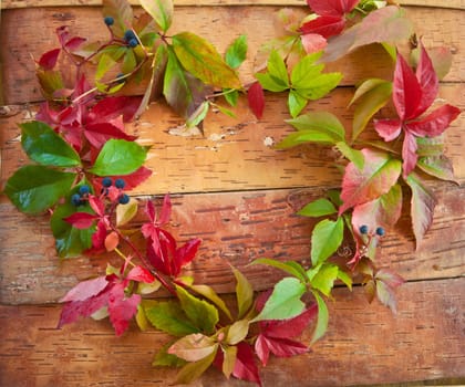 Colorful blaetter in heart shape on rustic wood