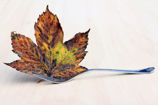 Autumn has arrived