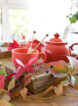 Fruechtetee for two with autumnal,colorful foliage