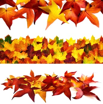 Collage with 3 autumnal decorations on a pure white background
