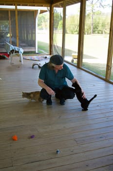 A man is squatting on a large porch petting stray cats at an animal shelter in Ft Myers FLorida.