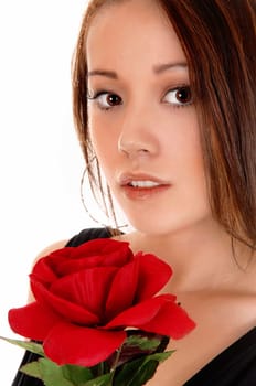 A beautiful young Asian woman in a closeup picture holding a big red.rose, isolated for white background..