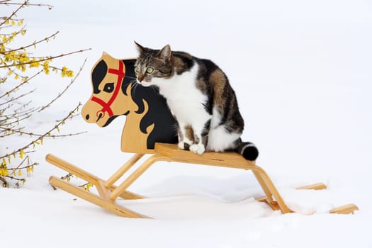 On the rocking horse