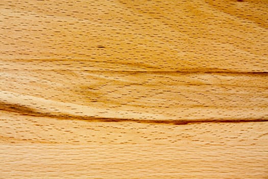 Detailed view of a core beech with beautiful grain