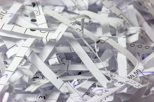 Closeup view of the shredded accounting.
