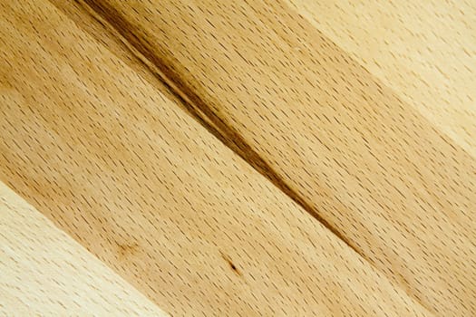 Detailed view of a core beech with beautiful grain
