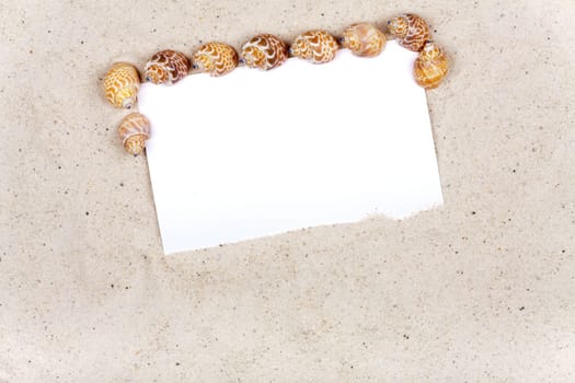 Postcard with text clearance with shells in the sand