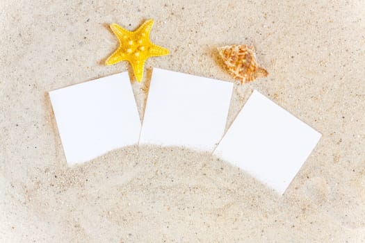 Three empty instant pictures lie with shells in the sand