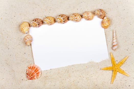 Empty postcard on the sandy beach with mussels