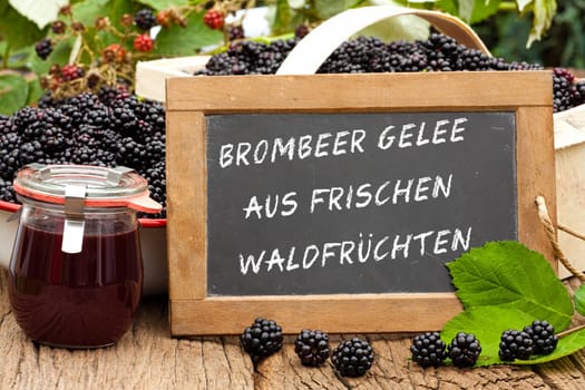 Blackberries of the season