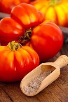 Meat tomatoes and salt in a spice shovel