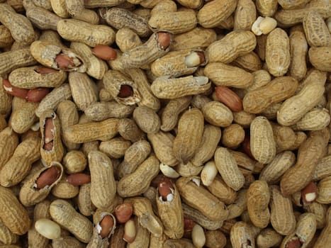 Peanuts