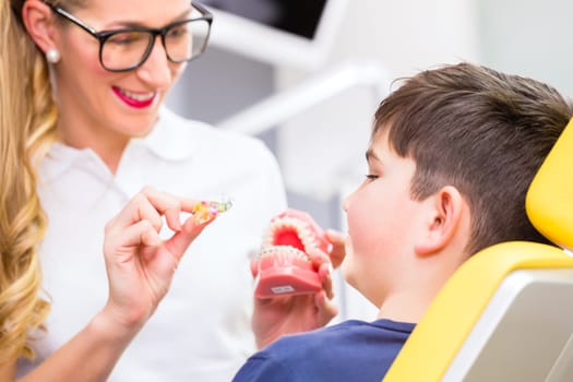Dentist explains young braces on denture model