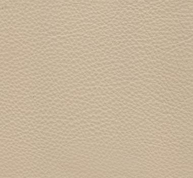 white leather texture
