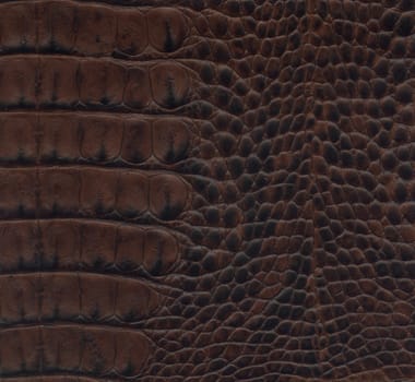 dark brown crocodile leather