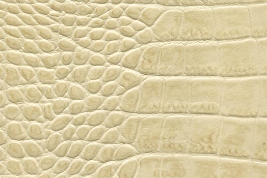 beige crocodile leather texture