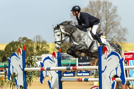 Equestrain Horse Show jumping  scenes and close-up action of riders
