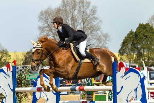 Equestrain Horse Show jumping  scenes and close-up action of riders