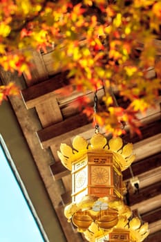 Kyoto, Japan - November 22, 2013