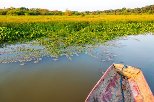 Canoe next to a lush green lakeshore in Madidi National Park in Bolivia