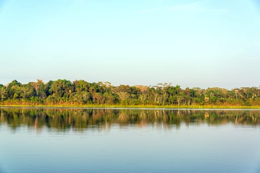 Jungle reflected in a lake in Madidi National Park in the Amazon rainforest near Rurrenabaque, Bolivia