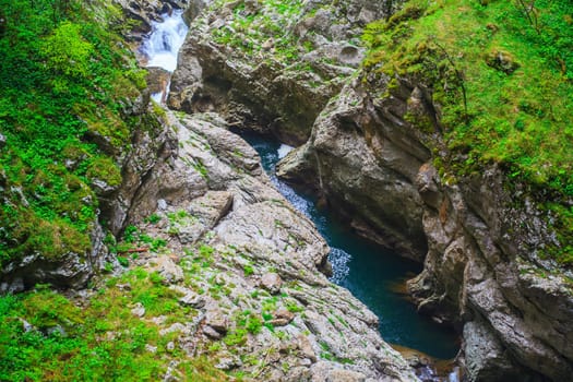 View of forest near the Škocjan Caves in Slovenia