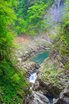 View of forest near the Škocjan Caves in Slovenia