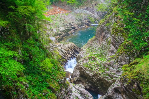 View of forest near the Škocjan Caves in Slovenia