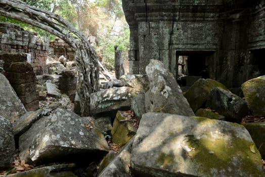 The Temple of  Ta Prohm in the Temple City of Angkor near the City of Siem Riep in the west of Cambodia.