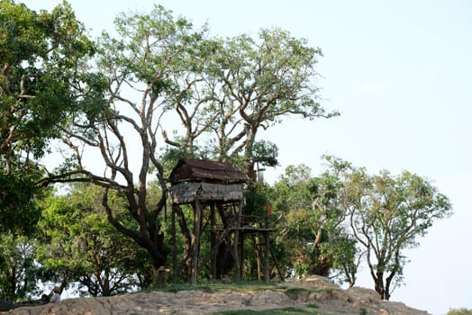 The Lake Village Kompong Pluk at the Lake Tonle Sap near the City of Siem Riep in the west of Cambodia.