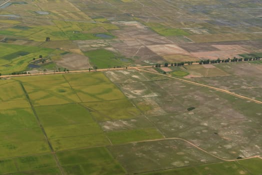The Landscape with a ricefield near the City of Siem Riep in the west of Cambodia.