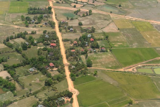The Landscape with a ricefield near the City of Siem Riep in the west of Cambodia.