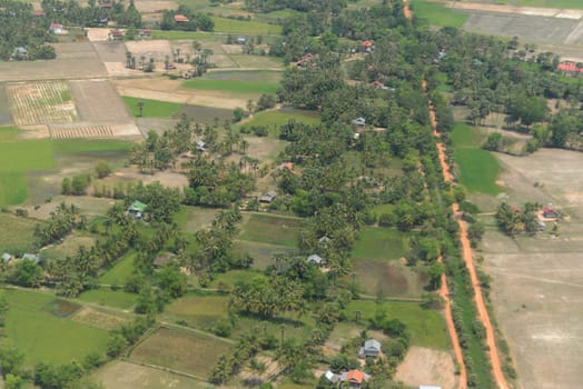 The Landscape with a ricefield near the City of Siem Riep in the west of Cambodia.