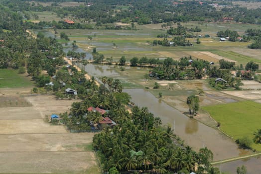 The Landscape with a ricefield near the City of Siem Riep in the west of Cambodia.