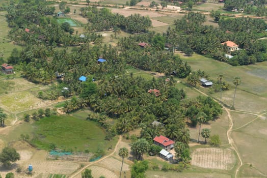 The Landscape with a ricefield near the City of Siem Riep in the west of Cambodia.