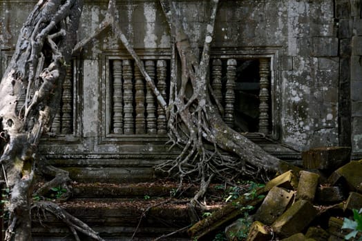 The Tempel Ruin of  Beng Mealea 32 Km north of in the Temple City of Angkor near the City of Siem Riep in the west of Cambodia.