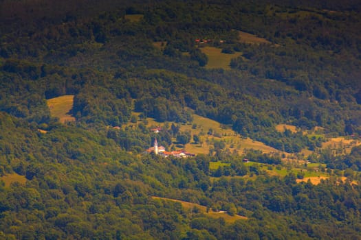 View of forest in the Slovenian countryside
