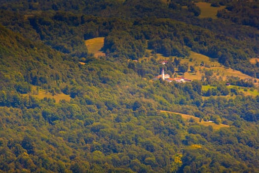 View of forest in the Slovenian countryside