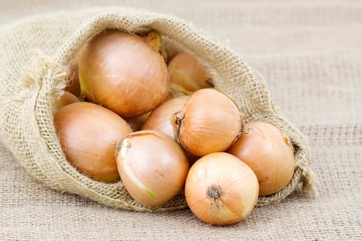 Fresh onions in package