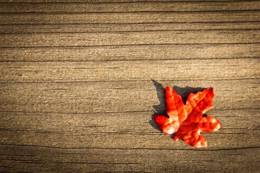 colorful leaves on a rustic wooden background
